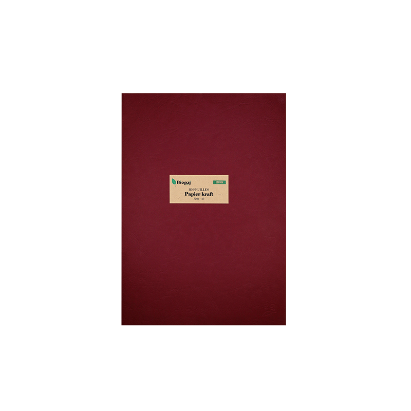 Papier kraft A3 120g en chemise de 50 feuilles