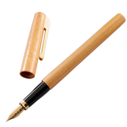 Stylo plume corps bois