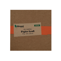 Cartes kraft carrés 275g 160x160 par 25