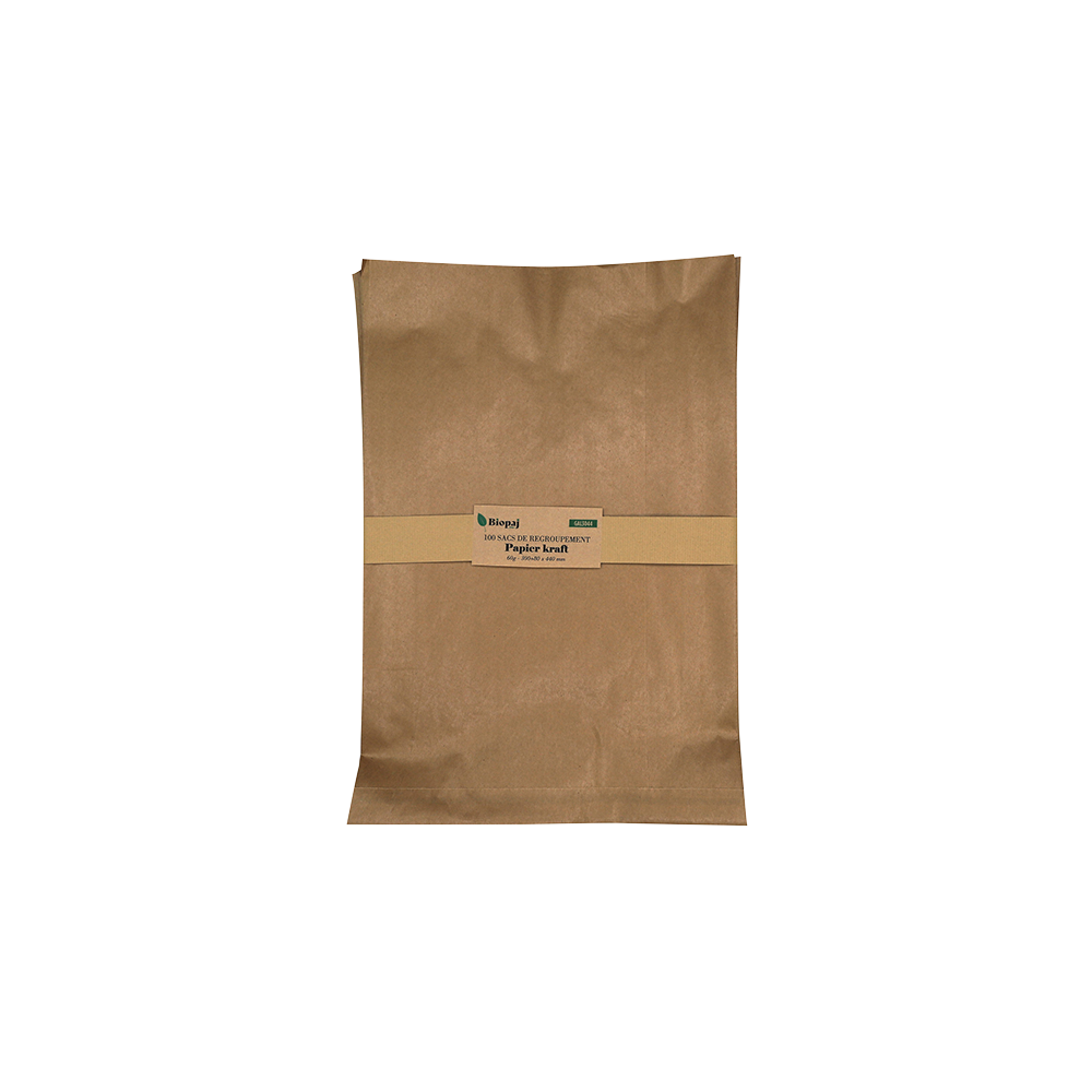 Sachets kraft à soufflet 60g 300x440 par 100