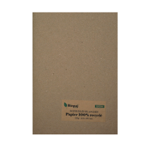 Papier blanc recyclé A4 250g 50 feuilles