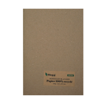 Papier blanc recyclé A4 250g 50 feuilles
