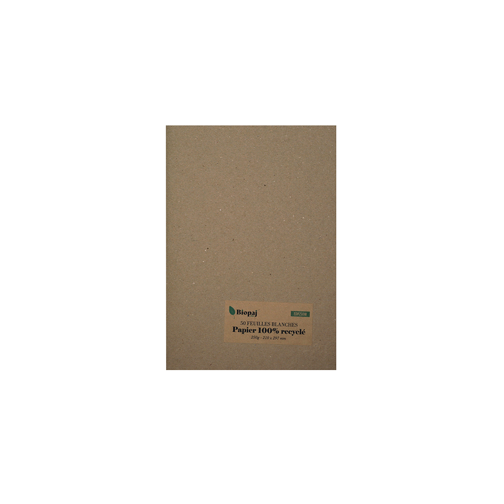 Papier blanc recyclé A4 250g 50 feuilles