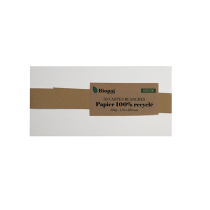 50 Cartes blanches recyclées 300g DL 110 x 220 mm