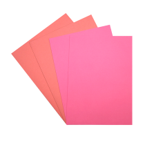 Combiné 25 chemises et 50 sous-chemises roses