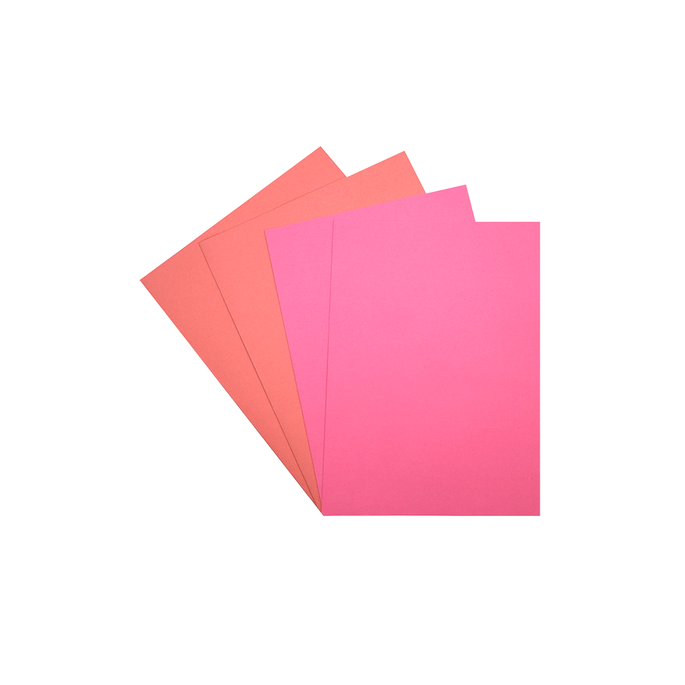 Combiné 25 chemises et 50 sous-chemises roses
