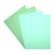 Combiné 25 chemises et 50 sous-chemises vertes