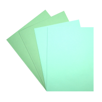Combiné 25 chemises et 50 sous-chemises vertes