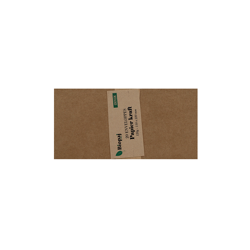 Enveloppe kraft DL 120g 11x22 par 20