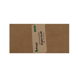 Enveloppe kraft DL 120g 11x22 par 20