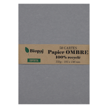 50 cartes de correspondance 105x148 ombre (grises)
