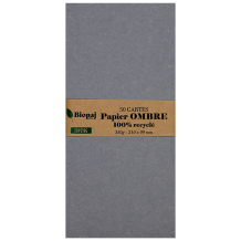 50 cartes de correspondance 210x99 ombre (grises)
