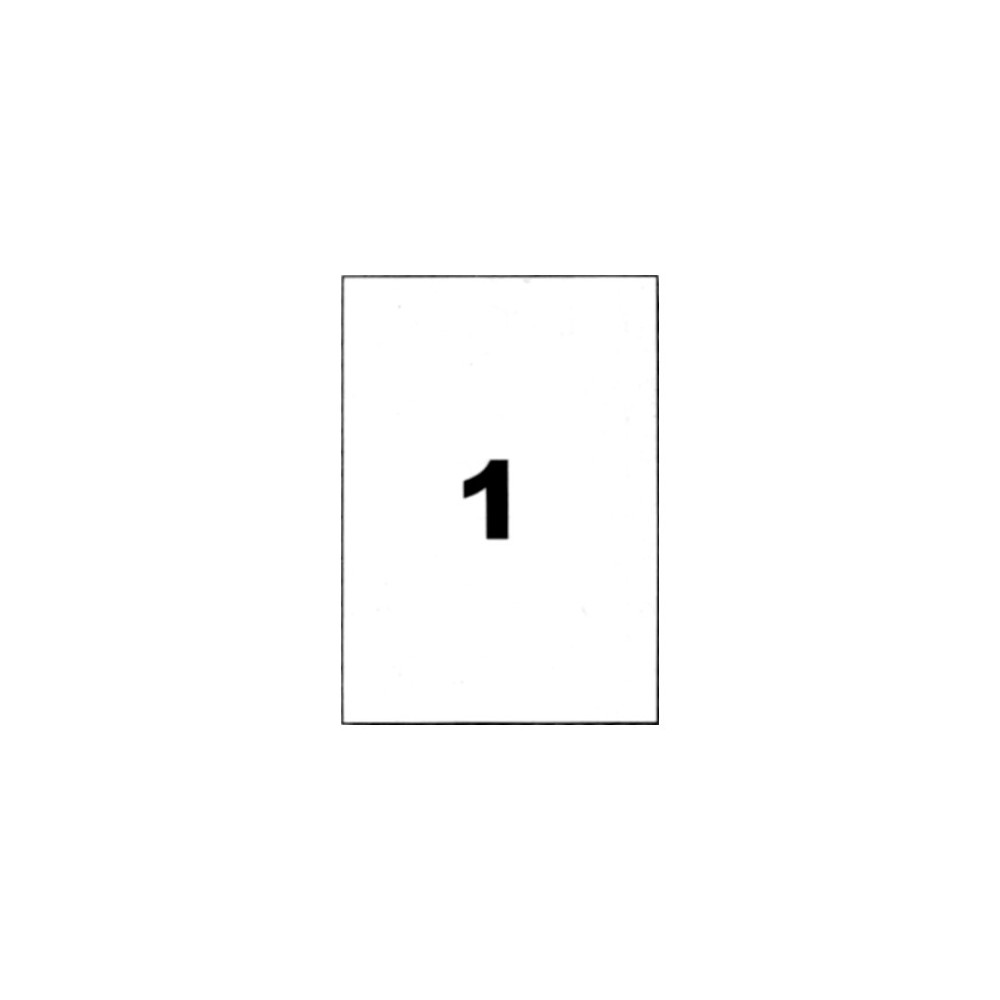 Etiquette A4 polyester blanc 210x297mm par 20
