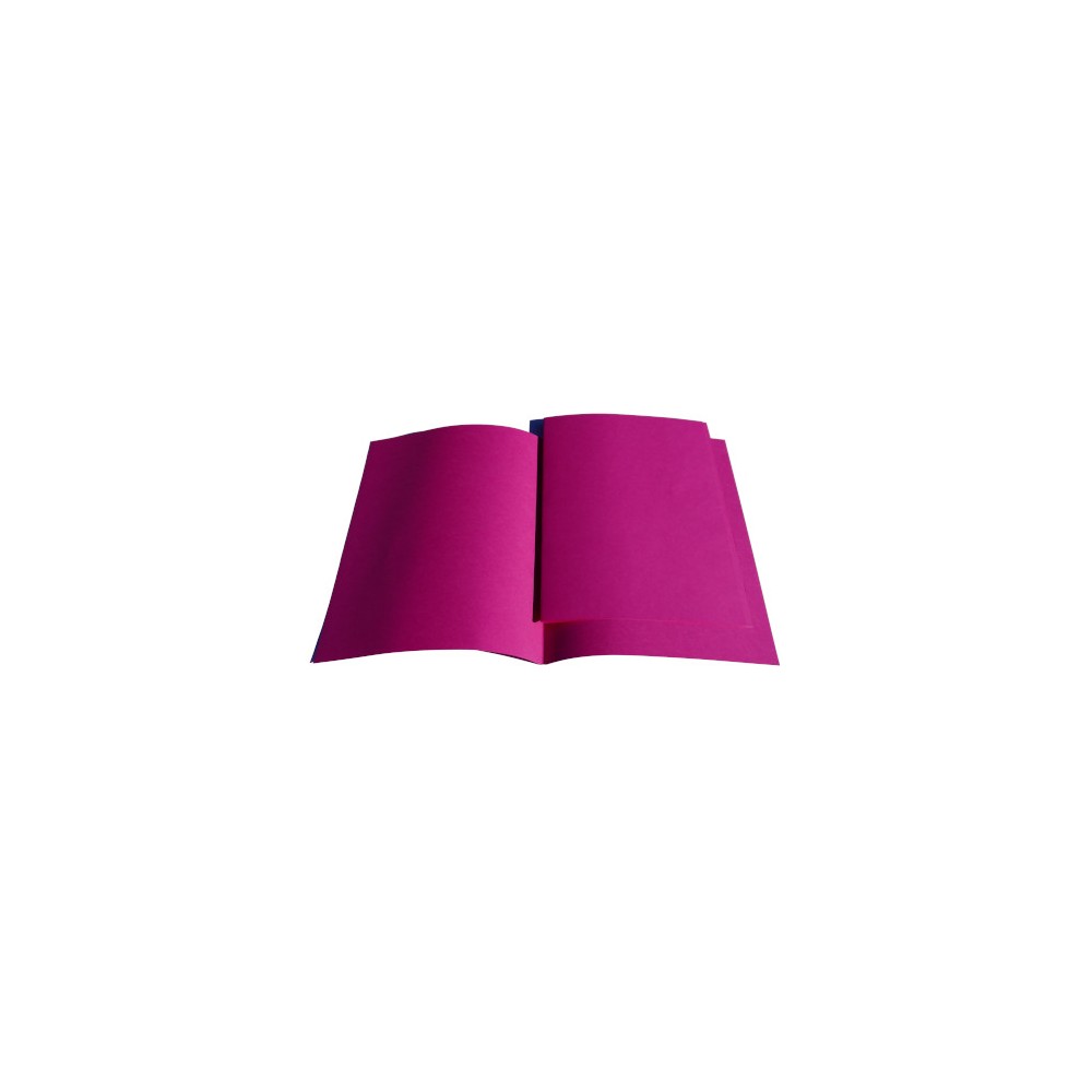 Chemises et sous-chemises fuschia 25 + 50