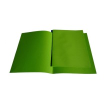 Chemises et sous-chemises vert menthe 25 + 50