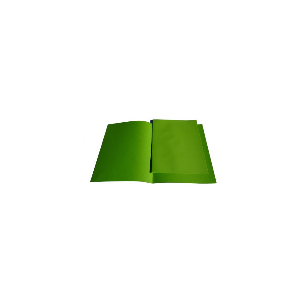 Chemises et sous-chemises vert menthe 25 + 50