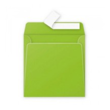 Enveloppe couleur vert menthe 165x165 mm par 50