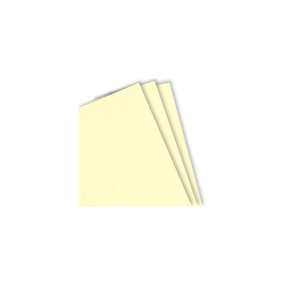 100 feuilles papier A4 ivoire reprographie 160g | Pack anti-gaspi