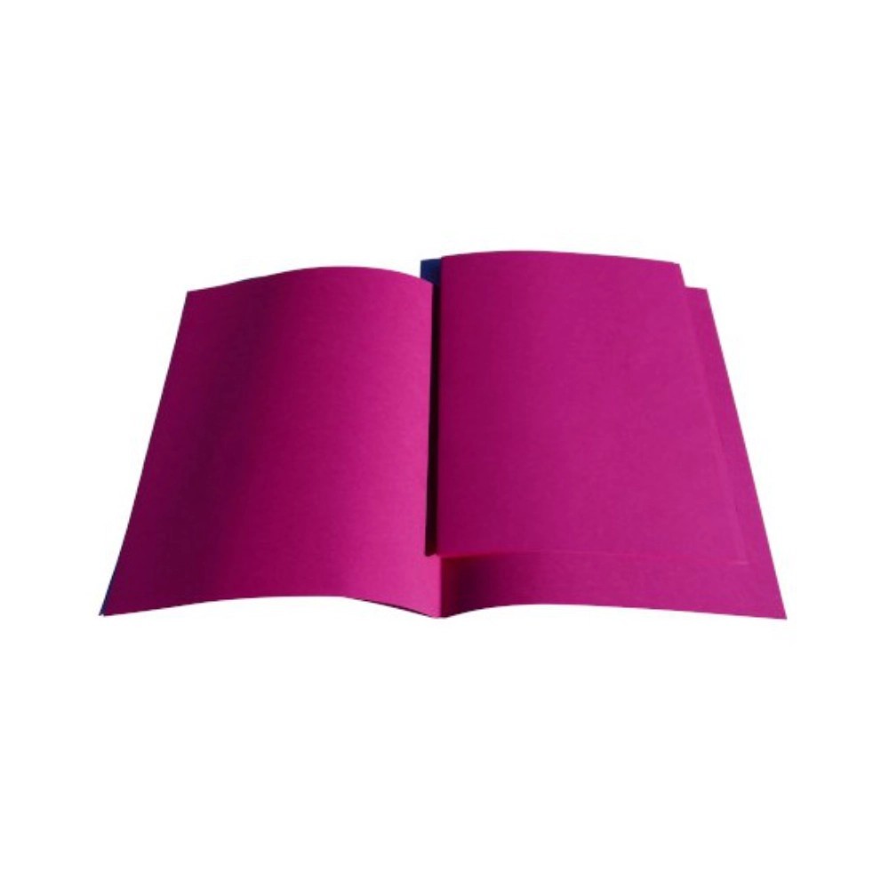Chemises et sous-chemises rose 20 + 50