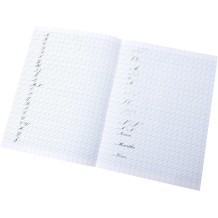 Cahier d'exercices à la calligraphie Herbin 90100T
