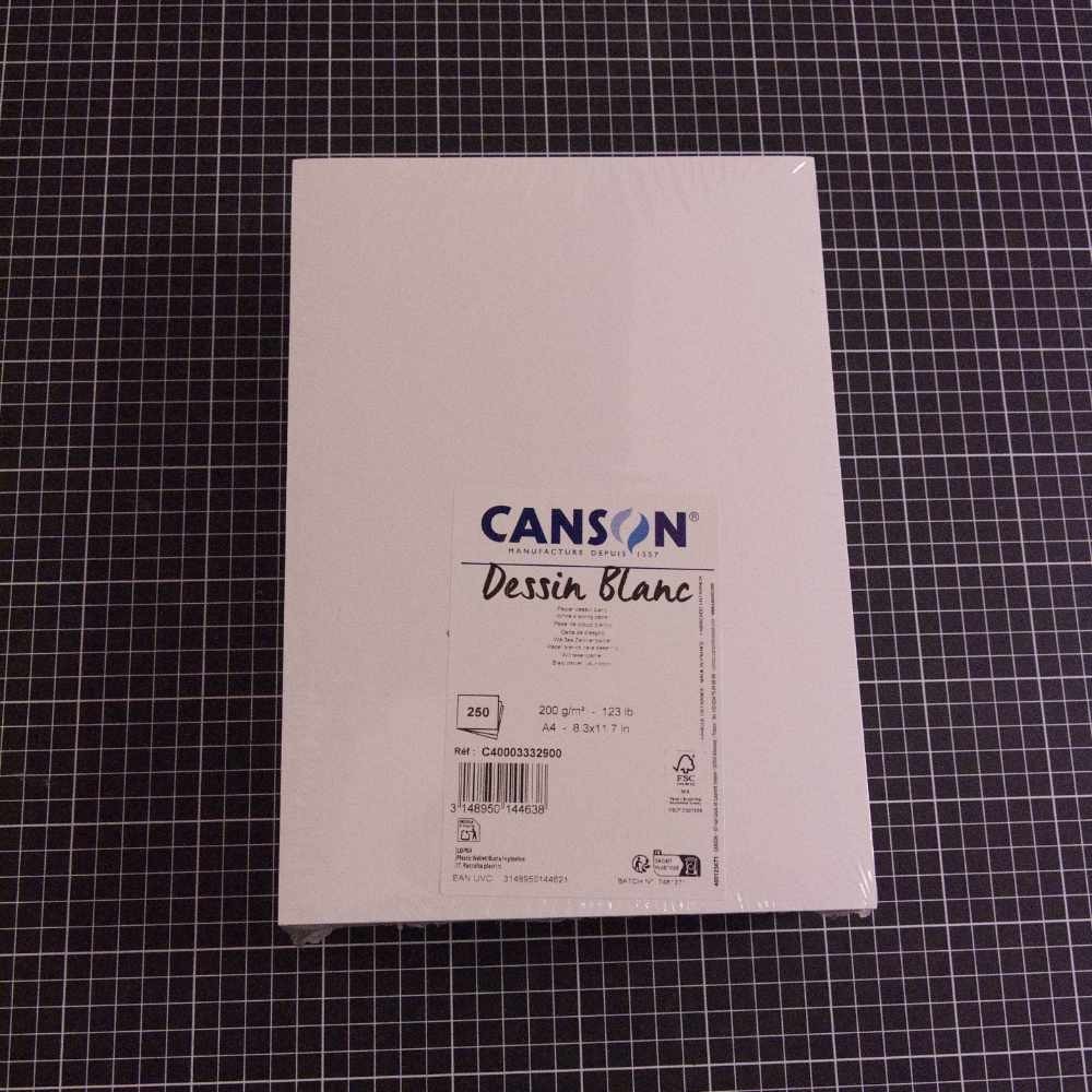 Ramette 250 feuilles papier à dessin A4 200 g Canson C400033329