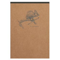 Carnet A6 Clairefontaine Flying Spirit Kraft 140 pages détachables ligné papier ivoire 90g