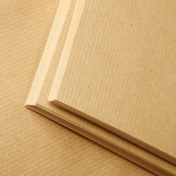 100 feuilles kraft A4 120g