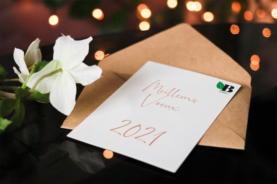 Bonne année sur Biopaj.com